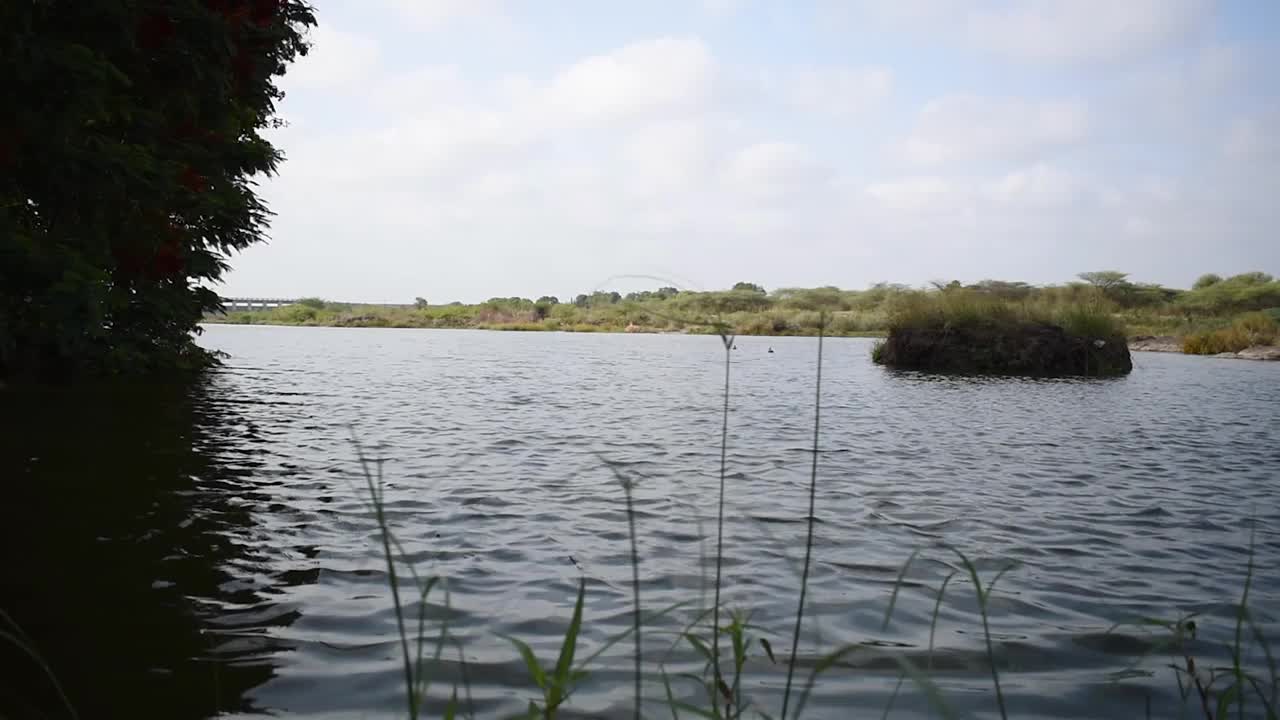在季风季节，拉杰果特的尼亚里水坝充满了水。绿树成荫，湖水满湖