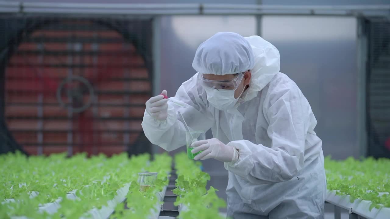 科学家在温室农场检查和测试用于喂养植物蔬菜的水化学物质。高科技有机农场。未来粮食的农业。用水培法种植的莴苣。