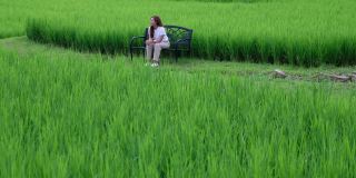 一位年轻女子坐着，看着美丽的稻田和大自然的景色