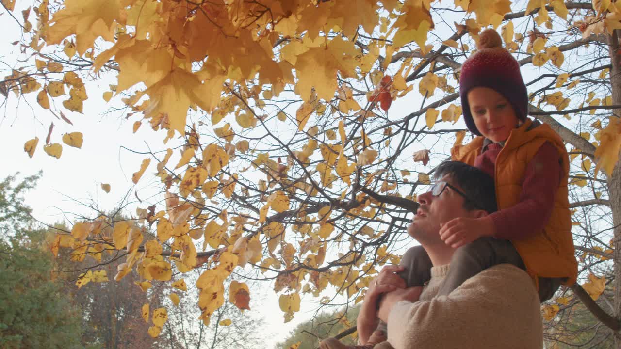 一家人在公园里享受晴朗的秋日