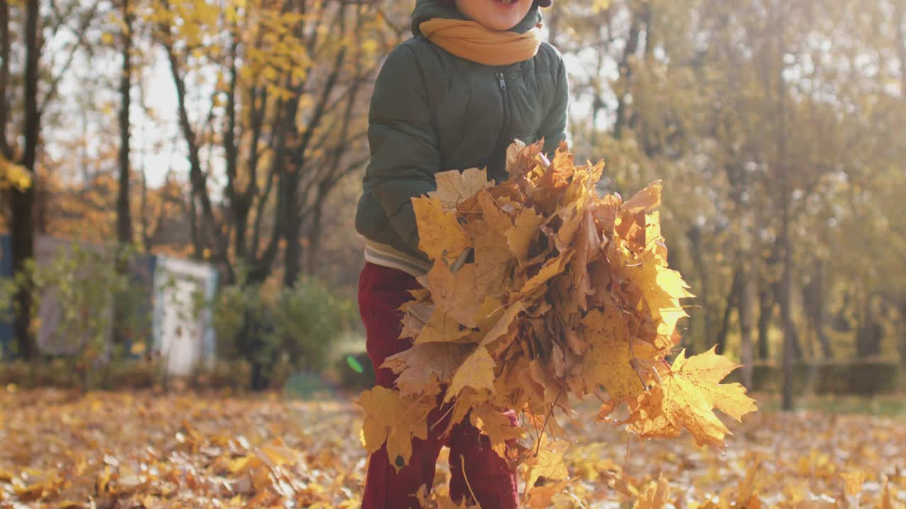 一个晴朗的秋日里，一个小男孩在公园里扔树叶