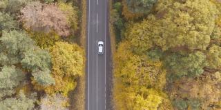 驾车穿越秋天的乡村道路。在美丽的秋天，汽车在乡间小路上行驶。白色的越野车穿过风景优美的黄色秋天森林。俯视图航拍