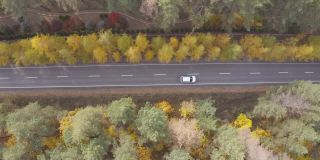空中拍摄的白色汽车在秋天的乡村道路上行驶。汽车在黄秋林的乡间小路上行驶。在美丽的秋天，越野车通过风景秀丽的风景方式。俯视图
