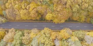 汽车在黄秋林的乡间小路上行驶。在美丽的秋天，越野车通过风景秀丽的风景方式。空中拍摄的白色汽车在秋天的乡村道路上行驶。俯视图