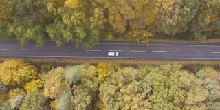 空中拍摄的白色汽车在秋天的乡村道路上行驶。汽车在黄秋林的乡间小路上行驶。在美丽的秋天，越野车通过风景秀丽的风景方式。俯视图