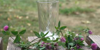 矿泉水被倒进一个玻璃杯里，背景是秋天花园里的三叶草和花草。
