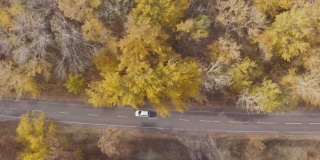 秋天开车旅行。汽车旅行在黄秋林乡间小路。白色的汽车在美丽的秋天穿过乡村道路。越野车行驶在风景秀丽的风景道。俯视图