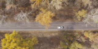 秋天开车旅行。汽车旅行在黄秋林乡间小路。白色的汽车在美丽的秋天穿过乡村道路。越野车行驶在风景秀丽的风景道。俯视图