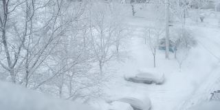 窗外的汽车被雪覆盖了。