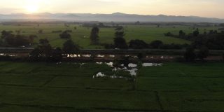 水渠紧挨着稻田