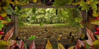 动画的森林和落叶在叶框架