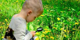 这孩子用放大镜看花。有选择性的重点。