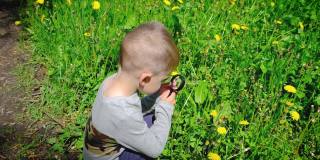 这孩子用放大镜看花。有选择性的重点。