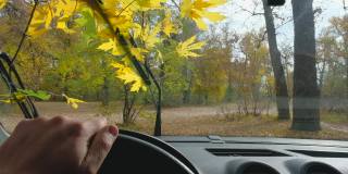 黄色的秋叶在汽车前玻璃上。雨刷上的黄叶。从车里看