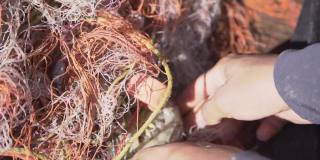螳螂虾被渔民捕获，螳螂虾卡在渔网中
