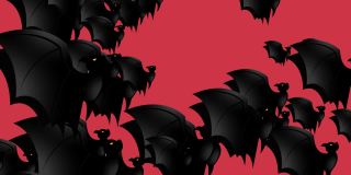 万圣节蝙蝠-万圣节概念-蝙蝠向上拍打翅膀-循环-成百上千的蝙蝠向上冲-万圣节-万圣节蝙蝠飞行无尽的循环-蝙蝠循环-粉色背景-黑色- А蝙蝠群