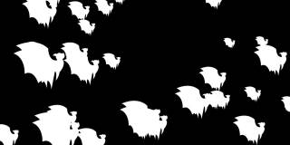 万圣节蝙蝠-万圣节概念-蝙蝠向上拍打翅膀-循环-数以百计的蝙蝠向上冲-万圣节-万圣节蝙蝠飞行无尽的循环-蝙蝠循环-黑色背景-白色颜色- А蝙蝠群
