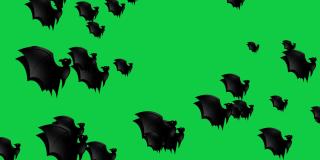 万圣节蝙蝠-万圣节概念-蝙蝠向上拍打翅膀-循环-成百上千的蝙蝠向上冲-万圣节-万圣节蝙蝠飞行无尽的循环-蝙蝠循环-彩色键背景-黑色- А蝙蝠群