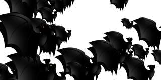 万圣节蝙蝠-万圣节概念-蝙蝠向上拍打翅膀-循环-数以百计的蝙蝠向上冲-万圣节-万圣节蝙蝠飞行无尽的循环-蝙蝠循环-白色背景-黑色颜色- А蝙蝠群