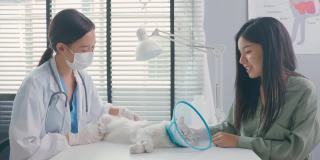 亚洲兽医在兽医诊所预约时为猫检查。在宠物医院，专业兽医女士坐在桌子上，通过抚摸和安抚小猫来检查动物。