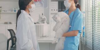 在宠物医院工作的兽医和助手的肖像。专业兽医抱着小猫小猫，自信地站在那里，微笑着看着摄像机。