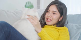 亚洲妇女抱着小猫在家里快乐地玩耍。漂亮漂亮的女性坐在沙发上，和温柔的在客厅里和她的宠物聊天，度过休闲的空闲时间。