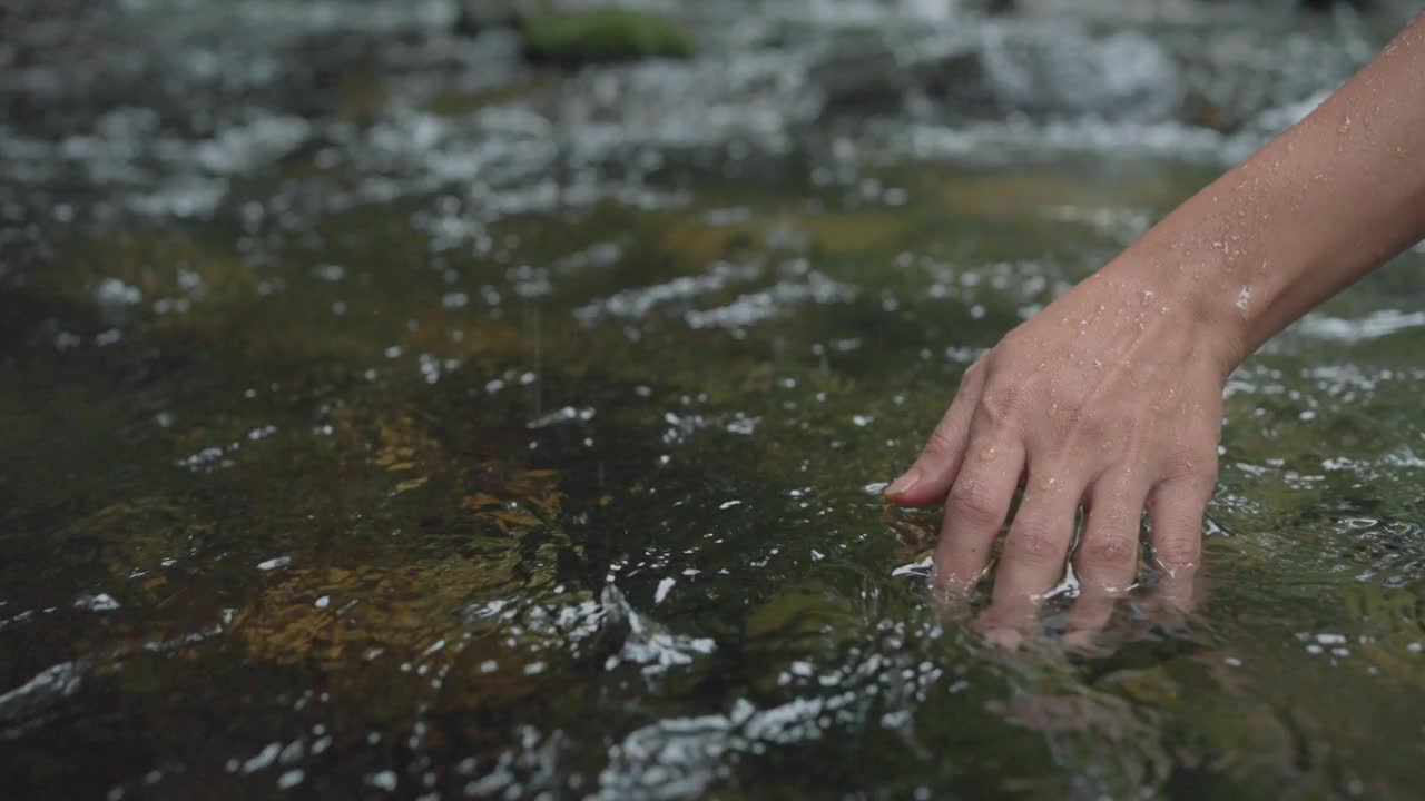 靠近女人的手触摸水面在森林河流或湖泊。