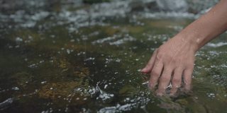 靠近女人的手触摸水面在森林河流或湖泊。