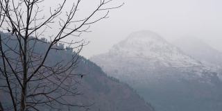 在印度喜马偕尔邦的马纳利，冬季积雪覆盖的山峰。在冬天被雪覆盖的山