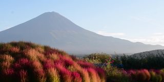 山梨县川口湖畔的富士山