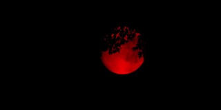 树叶后面的血红月亮可怕的场景