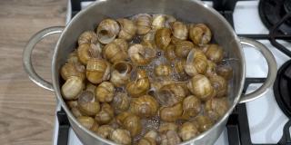 葡萄蜗牛的空壳在一锅沸水中煮，以清除污垢。用蜗牛烹调美味菜肴的过程。欧洲的法国菜。特写镜头。没有人。前视图。4 k。