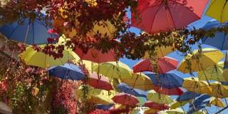 五颜六色的伞，红、黄、蓝的颜色装点着街道，映衬着天空。明亮的阳伞和蓝色天空中红色的野葡萄叶子。欢乐，幸福，喜庆，好心情。