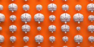真实白色人脑内部大脑器官模型无缝循环动画，橙色背景，神经系统和心理健康概念，力量思维和逻辑思维三维渲染动画