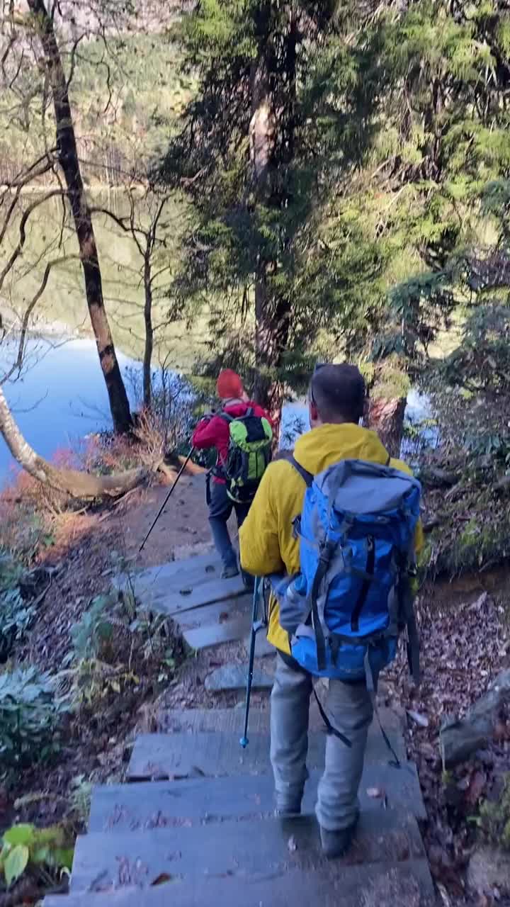 男子徒步旅行和探索森林地区