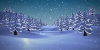 圣诞树的树枝上的雪落在多棵树在冬季景观对蓝色的天空