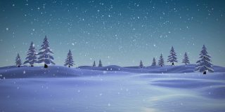 圣诞树的树枝上的雪落在多棵树在冬季景观对蓝色的天空