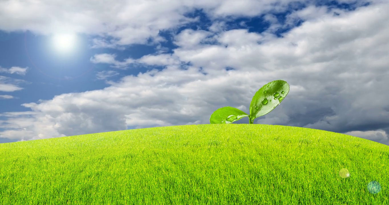 地球日庆祝活动。生态学的概念。新生的绿芽象征着为新生命而奋斗。绿草蓝天白云，4K DCI时间流逝。快乐的动画。
