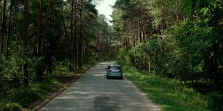 蓝色的汽车行驶在穿过松林的路上。宽视图画面