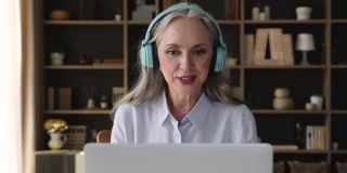 成熟的商业女性领导谈判使用视频电话应用在笔记本电脑上