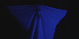 幽灵在夜晚慢慢地漂浮下来，消失在深蓝色的背景中