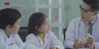 喜欢学习牙齿和清洁的亚洲孩子，医生正在讲解和教育孩子关于牙齿的模型牙齿