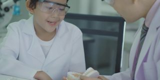 喜欢学习牙齿和清洁的亚洲孩子，医生正在讲解和教育孩子关于牙齿的模型牙齿