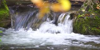 慢动作特写的急流，迅速流动的泉水与一些秋天五颜六色的叶子在水中。灰色的大石，秋天的落叶。瀑布在下降。大自然的风景
