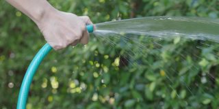 树浇水。女手臂正在使用喷水软管。女园丁，用软管给花园里的植物和树木浇水。从橡胶管中注入水。给后院的植物浇水。