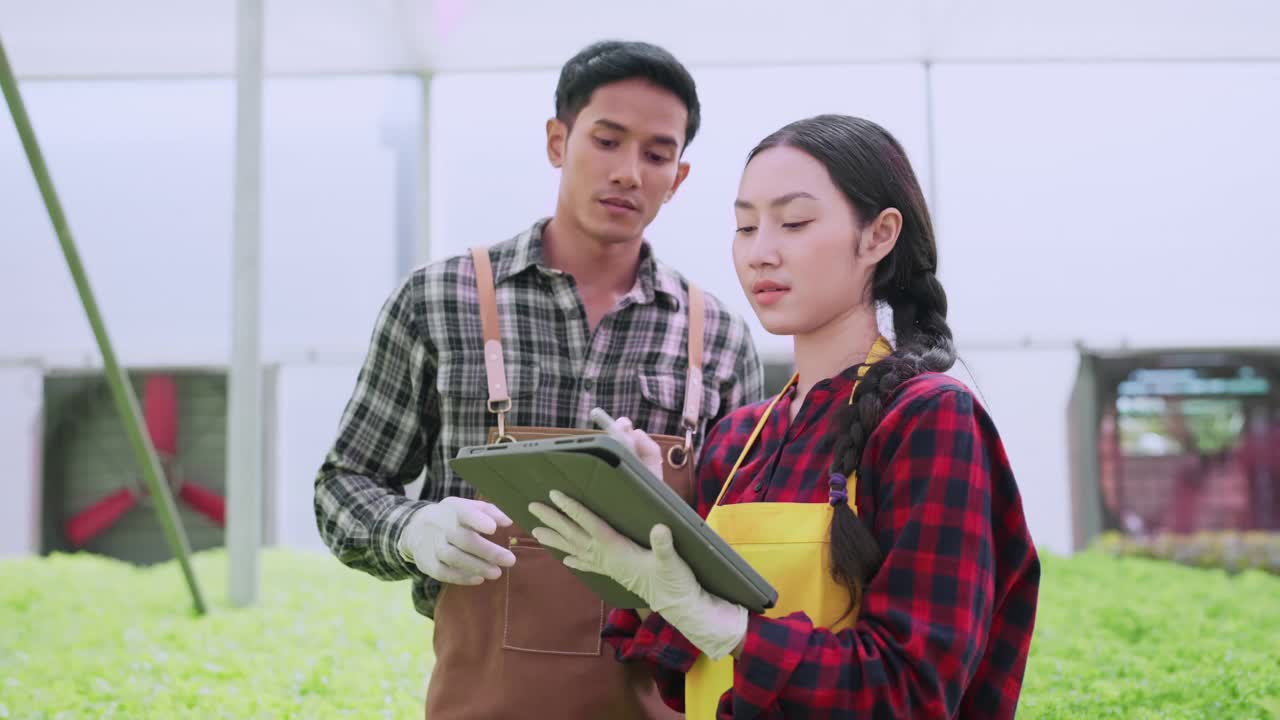 亚洲男性和女性农民检查温室水培农场的质量在水培系统农场种植绿色新鲜蔬菜，检查有机蔬菜产品的质量