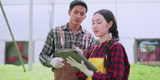 亚洲男性和女性农民检查温室水培农场的质量在水培系统农场种植绿色新鲜蔬菜，检查有机蔬菜产品的质量