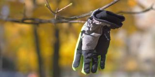 丢失的手套挂在树上，以4k慢动作60帧/秒的速度