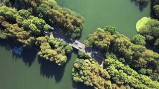 通过湖泊和树木区域的道路的空中俯瞰视频素材模板下载