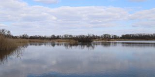 在捷克共和国池塘杂草的美丽风景的时间推移。天鹅漂浮在水面上，白云在蓝天上流动，光影交替。